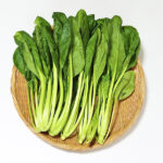 食育大事典の今月のおすすめは小松菜です