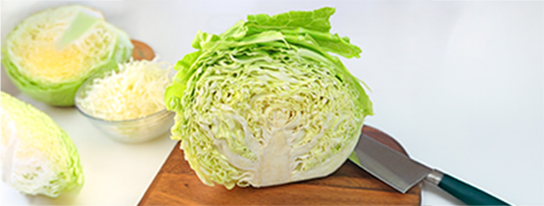 食育キーワード「キャベツ」