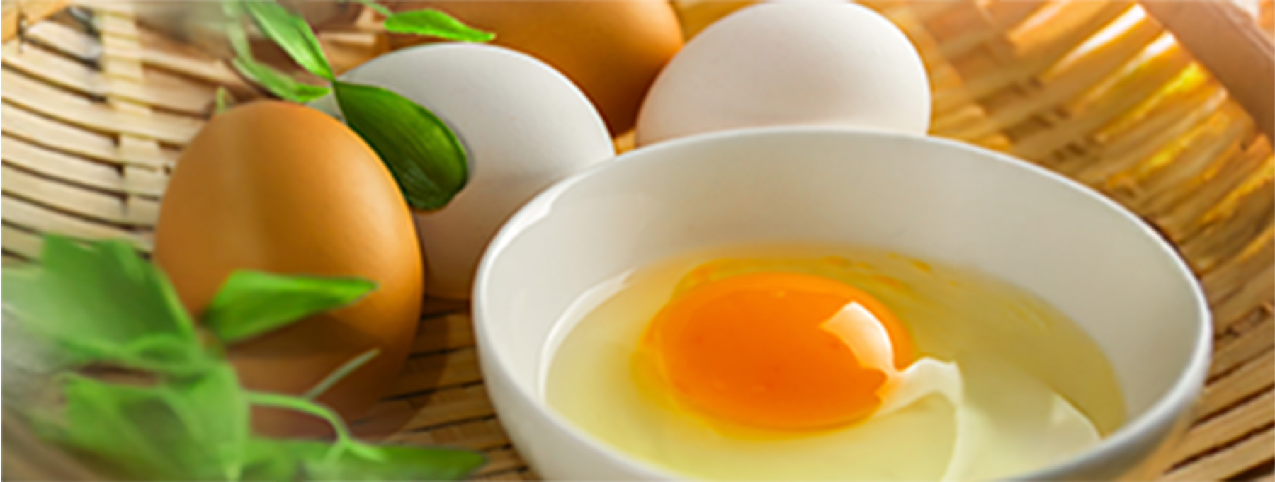 食育キーワード「鶏卵（たまご）」