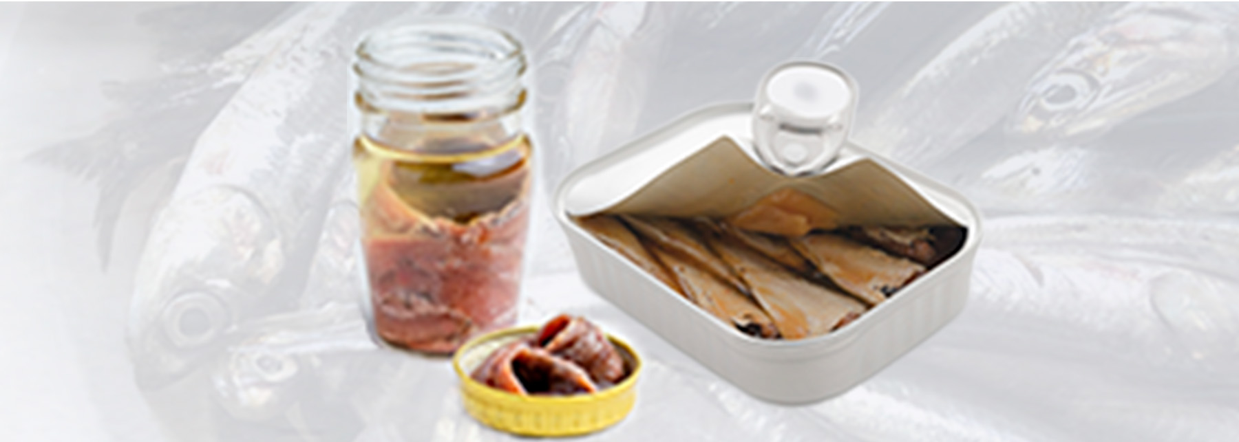 食育まめ知識「オイルサーディンとアンチョビの違い？」